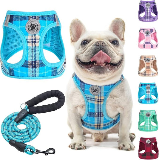 BEAUTYZOO Small Dog Harness and Leash Set,Step in No Chock No Pull Soft Mesh Dog Harnesses Reflective for Extra-Small/Small Medium Puppy Dogs and Cats, Plaid Dog Vest Harness for XS S Pets, Blue M