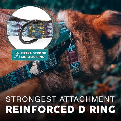 Embark Urban Dog Collar  Dog Collar Stylish & Durable Nylon Dog Collar for Large Dogs, Small Dogs & Medium Dogs.Comfortable Pet Collar Strong Buckles for Any Size Breed (Azure, Large)