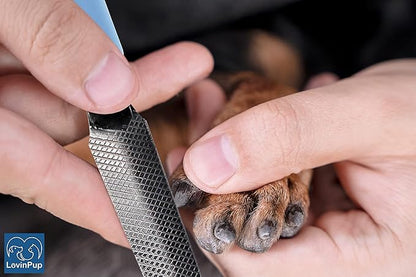 Dog Nail Filer, Professional Nail Grooming Tool, Dog and Cat Nail Files, for Smoothing Rough Edges of Pet_ Nails, Best Nail Filer for Small/Large Dogs & Cats (1 Dog Nail Filer)