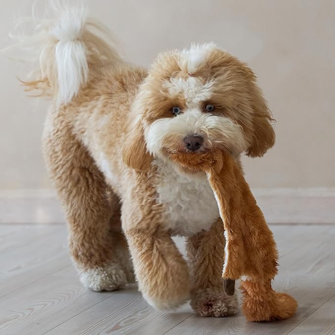 SPOT Skinneeez Squirrel 23-Inch Stuffing-Free Plush Dog Toy – Realistic Design with 2 Squeakers – Durable, Soft Polyester for Medium & Large Dogs – Tug, Fetch & Shake Play – for Moderate Chewers