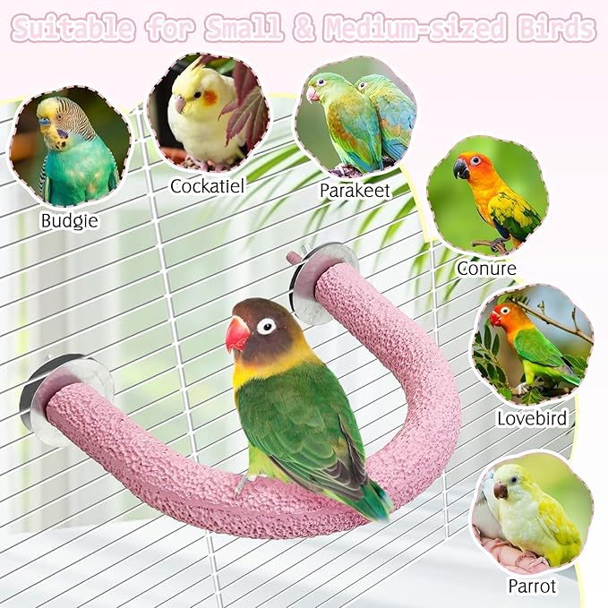 PINVNBY 5 Pack Bird Perch Resin Bird Beak Grinding Stone Parrot Cage Stand Platform Foot Claws Trimmer Chew Toy Cage Accessories for Budgie Cockatiel Conure Lovebird Finch (Pink)