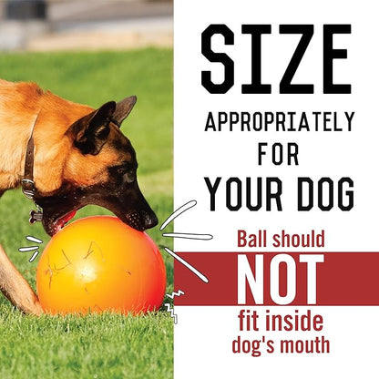 Doggie Dooley Virtually Indestructible Best Ball for Dogs, 8 inch (Colors Vary) (1008),Medium