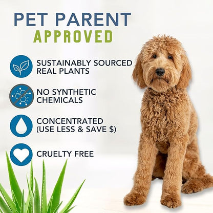 Organic Natural Dog Shampoo, Hypoallergenic Dog Shampoo, Puppy Safe Coconut Shampoo, Sensitive Skin, Fragrance Free with Aloe for Soothing Relief of Dry, Itchy, Sensitive Allergy Skin 16 oz