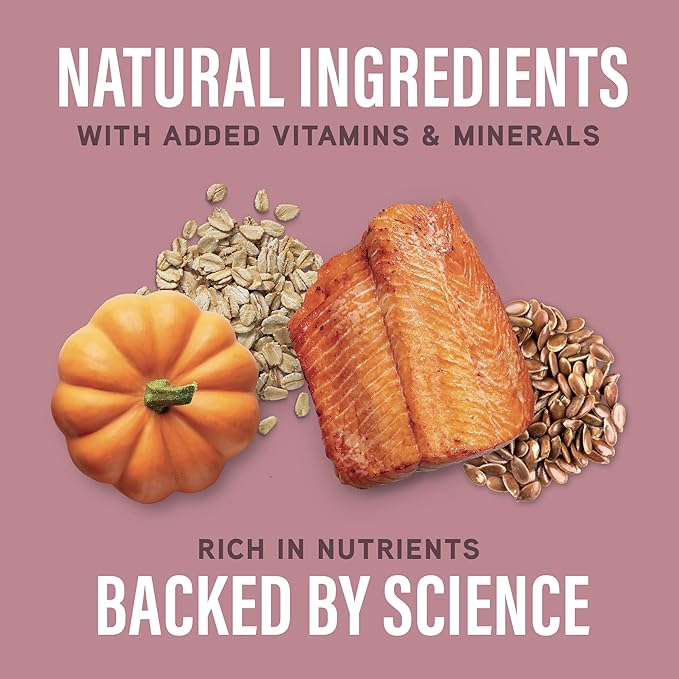 Natural Balance Specialized Nutrition Dry Dog Food with Salmon and Oatmeal for Dogs, Sensitive Skin & Stomach Dog Food, Natural Ingredients with Added Vitamins & Minerals - 3.5 lbs