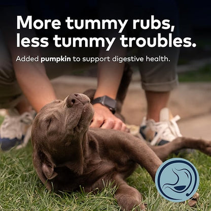 ZIWI Peak Steam & Dried Dog Food - Grass-fed Beef w/Pumpkin - High Protein, Low Carb, All Breeds & Lifestages, for Digestive Health (28.8oz)