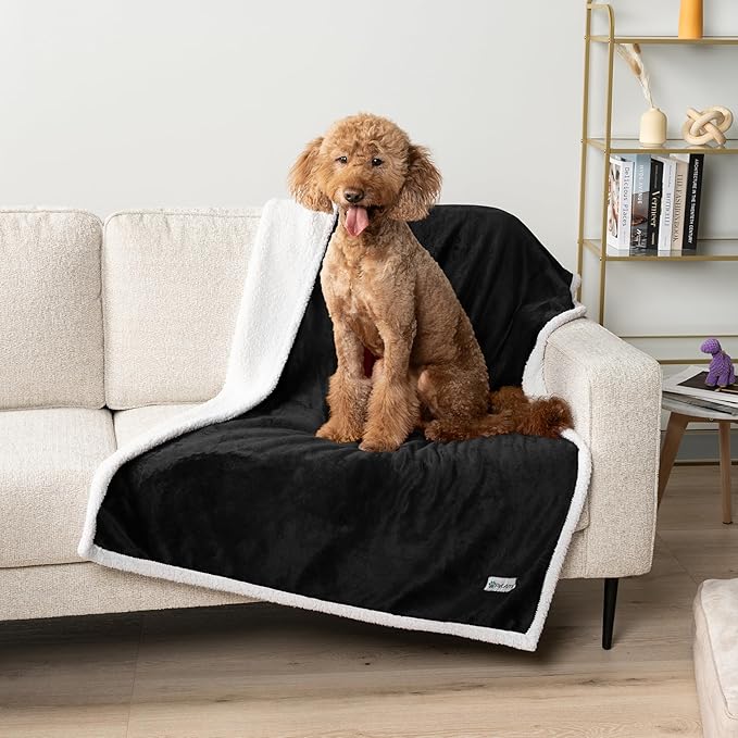 PetAmi Waterproof Dog Blanket for Small Medium Dog, Pet Puppy Blanket Couch Cover Protection, Sherpa Fleece Cat Blanket Washable Throw Couch Sofa Bed Furniture Protector Reversible Soft 29x40 Black