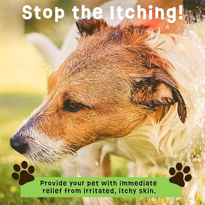 Dogs Plus Vitamin C Dog Shampoo | All Natural Dermatitis, Demodex Mange, & Hot Spot Treatment for Dogs | Fast and Effective Itch Relief (6 oz)