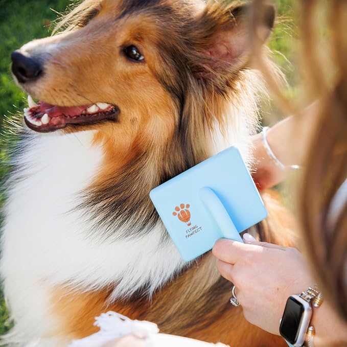 Dog Slicker Brush for Grooming Pet Hair - Best Brushes For Poodle & Golden Doodle - Long Haired Brush For Dogs - Goldendoodle Long Pin Brush For Dematting- Ideal Gift for Pet Groomers