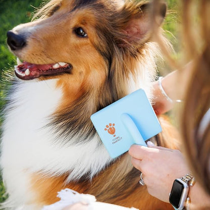 Dog Slicker Brush for Grooming Pet Hair - Best Brushes For Poodle & Golden Doodle - Long Haired Brush For Dogs - Goldendoodle Long Pin Brush For Dematting- Ideal Gift for Pet Groomers