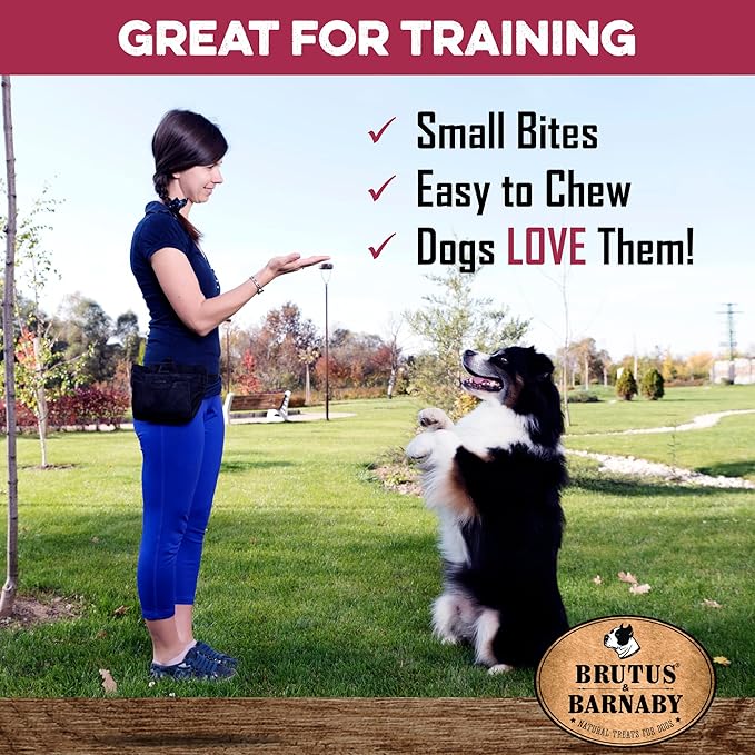 Freeze Dried Dog Treats, Beef Liver - All Natural - Healthy, Grain Free, Single Ingredient Dog Treat Liver Treats for Dogs - Beef Liver Dog Treats That Are Small Bites Perfect For Dog Training Treats