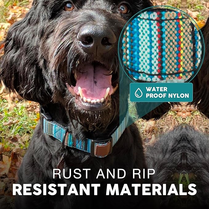 Embark Urban Dog Collar  Dog Collar Stylish & Durable Nylon Dog Collar for Large Dogs, Small Dogs & Medium Dogs.Comfortable Pet Collar Strong Buckles for Any Size Breed |Puppy Collars|