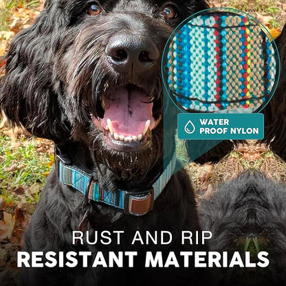 Embark Urban Dog Collar  Dog Collar Stylish & Durable Nylon Dog Collar for Large Dogs, Small Dogs & Medium Dogs.Comfortable Pet Collar Strong Buckles for Any Size Breed |Puppy Collars|