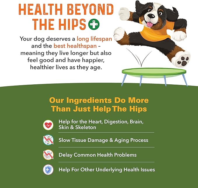 Bernie's Healthy HIPS - Daily Dog Hip & Joint Supplement - 90 Soft Chews - Reduce Pain, Encourage Mobility, Slow Damage, Repair and Rebuild HIPS & Joint Tissues