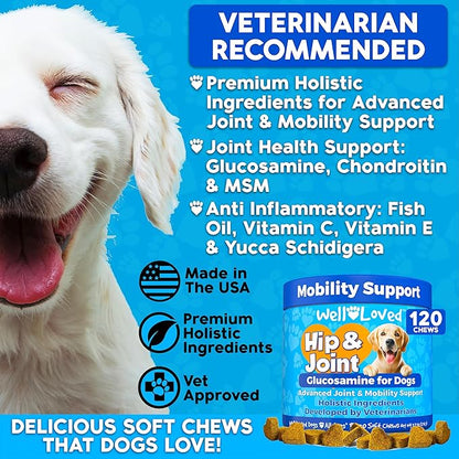 Glucosamine for Dogs - Joint Supplement for Dogs, Made in USA, Vet Developed, Glucosamine Chondroitin, Hip and Joint Chews with MSM, Large Breed, Pain Relief, 120 Chews