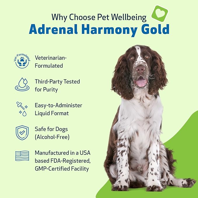 Pet Wellbeing Adrenal Harmony Gold for Dogs - Vet-Formulated - Adrenal Gland Supplement for Dogs, Ashwagandha, Astragalus, Bacopa, Holy Basil - Herbal Supplement  4 oz (118 ml)