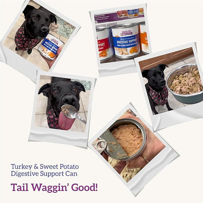 Health Extension Wet Dog Food Turkey & Sweet Potato Entrée in Gravy, 9 oz - Digestive Support with Superfoods & Antioxidants for Immune Support (Case of 12 Cans)
