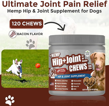 2-Pack Dog Pain Relief Hip and Joint Supplements | Glucosamine for Dogs 600mg | Organic Hemp Seed Powder/Oil 650mg | Chondroitin, MSM, Turmeric, Vitamins C & E+ | 240 Bacon Mobility Supplements