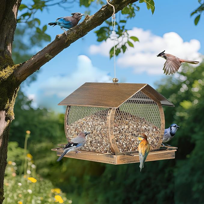 Bird Feeder for Outdoors, Wild Finch Birds Feeders Sparrow Feeder, Metal Birdfeeder Outside Hanging with Lid Fixing Buckle, 2Lbs Capacity