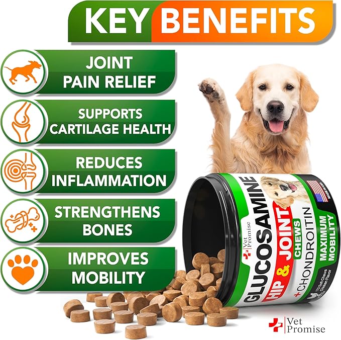 Vet Promise Glucosamine for Dogs - Hip and Joint Supplement for Dogs - Glucosamine Chondroitin - Joint Pain Relief Pills - MSM - Advanced Health Support Supplement - 170 Mobility Chews - Made in USA