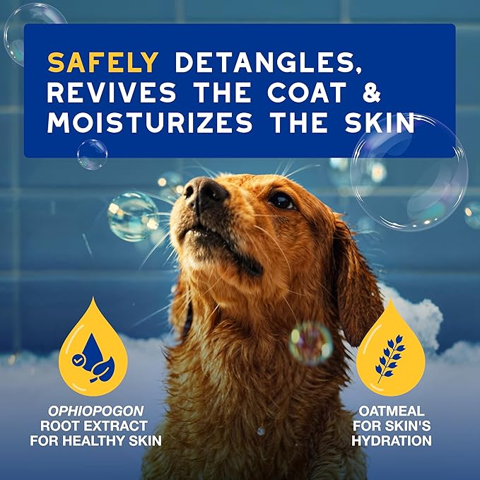 DOUXO® Skin & Coat SPA - Ultra-Safe Oatmeal Dog Conditioner, 16 fl oz, Safely Detangles, Revives The Coat and Moisturizes The Skin, Leaves The Coat Soft, Silky and Radiant, Skin-Friendly Formula