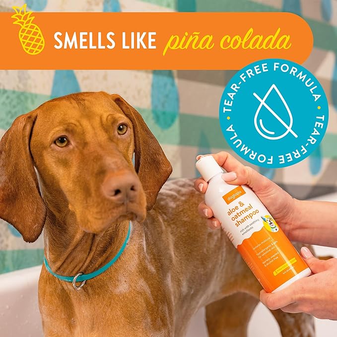 Aloe & Oatmeal Dog Shampoo and Conditioner Combo - Skin Safe Hydration, Emollient Rich, Moisturizing (Shampoo & Conditioner Set) - 2X 16oz Bottles w/Pina Colada Scent