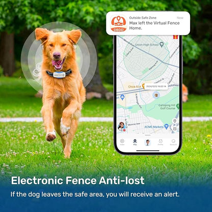 AI GPS Tracker for Dogs (30lbs+), Real Time Location and AI Vet Health Management, Electronic Fence, Waterproof, iOS and Android Universalï¼_hiteï¼