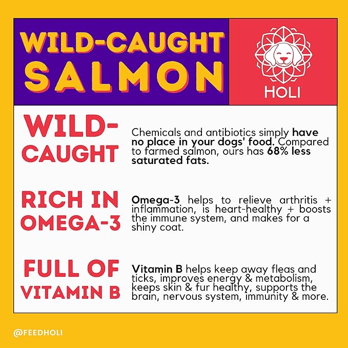 HOLI Freeze Dried Salmon Dog Treats - with Omega 3 and 6 Fish Oil - All Natural - Human Grade - Wild Caught Salmon with Skin - Made in USA - Grain Free - Diabetic Friendly