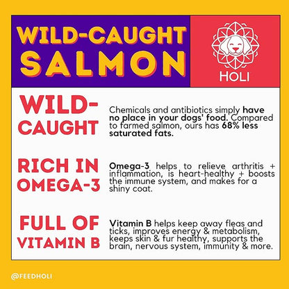 HOLI Freeze Dried Salmon Dog Treats - with Omega 3 and 6 Fish Oil - All Natural - Human Grade - Wild Caught Salmon with Skin - Made in USA - Grain Free - Diabetic Friendly