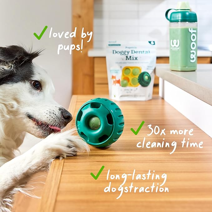 WOOF Dental Kit- Includes Pupsicle Dog Toy, Treat Tray, Shaker Bottle, Chicken Pupsicle Pops, and Dog Teeth Cleaning Powder - Supports Oral Health for Dogs - XL