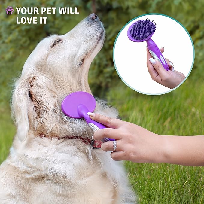 Round Bristle Pet Brush for Dogs and Cats - Soft Dog Brush for Grooming Short or Long Hair - Gentle Tool for Sensitive Skin Removes Dander, Dirt, and Detangles - Purple