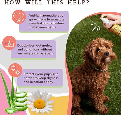 Natural Dog Company Sensitive Skin Dog Deodorizing Spray: Ideal for Sensitive Skin Dog Shampoo, Long Lasting Perfume, Dog Spray Deodorizer, Neutral Scented with hints of Lavender, 8 oz