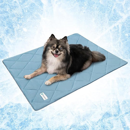 PetAmi Premium Cooling Dog Blanket | Lightweight Fluffy Pet Throw Blanket Bed Cover for Dogs, Cat, Puppies | Pet Blanket Furniture Protector Couch Sofa | Reversible Fuzzy Cozy | 24x32, Dusty Blue