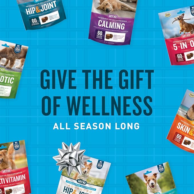 VetIQ Multivitamin Supplement for Dogs, Supports Active Brain Function, Immune System, and Digestive System, Hickory Smoke Flavored Dog Multivitamin, Made in The USA, 60 Count (Pack of 2)