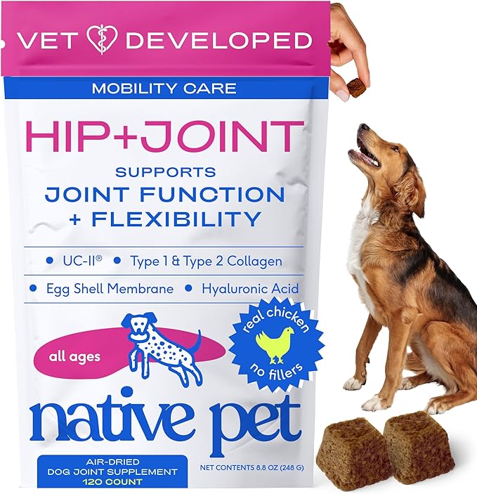 Native Pet Hip & Joint Supplement for Dogs - Advanced Dog Joint & Arthritis Supplement - Helps Maintain Healthy Cartilage, Joint Flexibility, Lubrication, & Function - with ESM & Collagen - 120 Chews