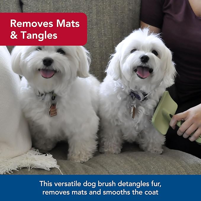 Coastal Pet Safari Complete Dog Brush - 2-in-1 Design Dog Slicker Brush with Grooming Bristles - Detangling & Dematting Dog Brush - One Size