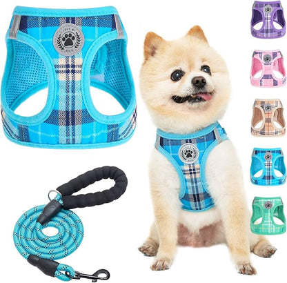 BEAUTYZOO Small Dog Harness and Leash Set,Step in No Chock No Pull Soft Mesh Dog Harnesses Reflective for Extra-Small/Small Medium Puppy Dogs and Cats, Plaid Dog Vest Harness for XS S Pets, Blue XXS
