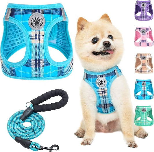 BEAUTYZOO Small Dog Harness and Leash Set,Step in No Chock No Pull Soft Mesh Dog Harnesses Reflective for Extra-Small/Small Medium Puppy Dogs and Cats, Plaid Dog Vest Harness for XS S Pets, Blue XXS