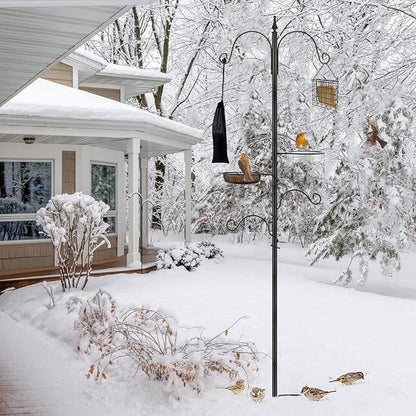 Premium Bird Feeding Station Kit - Multi Feeder Hanging Set with Suet Cage, Bird Bath & Finch Sock Attractors