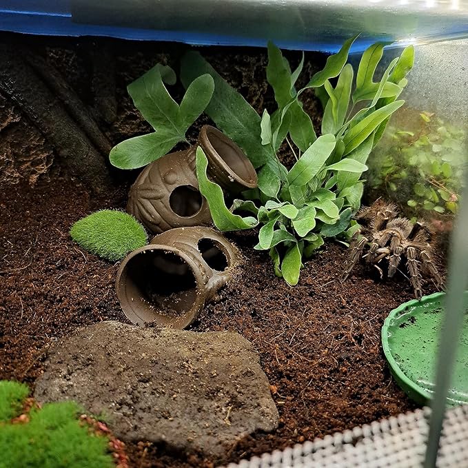 Ceramic Shelters, 2 pcs, Fish Tank Accessories, Fish House, Swim Holes Aquatic, Aquarium Cave for Freshwater and Saltwater Fish Tank, Pets to Breed, Play and Rest Decor (Pot)