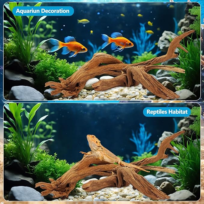 2 Pcs Natural Large Driftwood for Aquarium, Aquarium Driftwood Freshwater 12-16 Inch, Assorted Size Mopani Wood, Twisted Branches for Fishtank Accessories, Reptile Terrariums Decorations