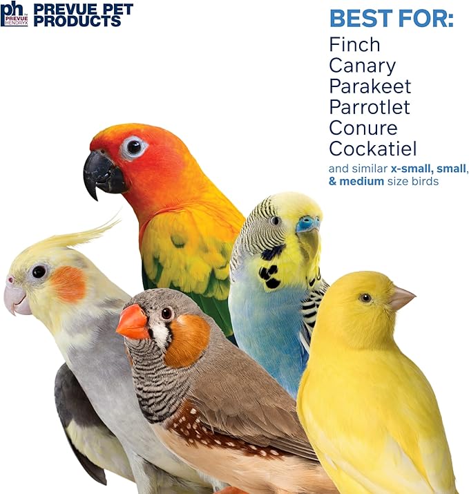 Prevue Pet Products Sound & Movement Mr. Mustache Bird Toy 62614