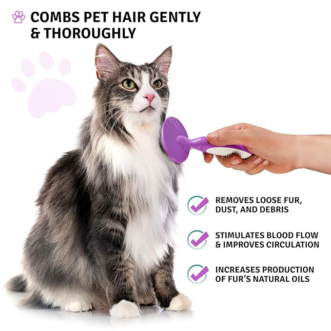 Round Bristle Pet Brush for Dogs and Cats - Soft Dog Brush for Grooming Short or Long Hair - Gentle Tool for Sensitive Skin Removes Dander, Dirt, and Detangles - Purple