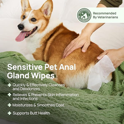 HICC PET Wipes for Dogs & Cats, Cleansing Deodorizing & Soothing Allergy Infections Anal Gland Pets Wipes with Coconut Oil - Dog Grooming Wipes for Butt and Paw - Hypoallergenic & Vet Recommended