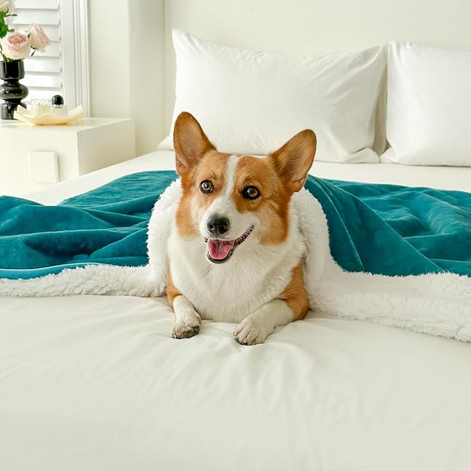 Bucephalus Waterproof Dog Blanket, Thick Reversible Soft Pet Blankets for Couch Bed Protection, Pee Proof Sherpa Fleece Blanket for Small Medium Large Dogs Puppy Cats Washable (Teal, 50"_60")