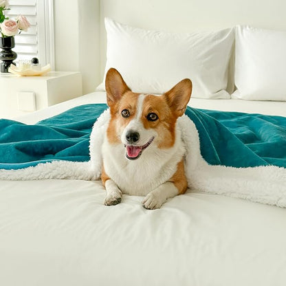 Bucephalus Waterproof Dog Blanket, Thick Reversible Soft Pet Blankets for Couch Bed Protection, Pee Proof Sherpa Fleece Blanket for Small Medium Large Dogs Puppy Cats Washable (Teal, 50"_60")
