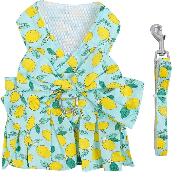 Dora Bridal 2 Pack Dog Dress Harness Vest with Leash, No Pull Cat Small Medium Girl Pet Floral Harness Leash Set, Cute Puppy Fruit Outfit Clothes with Bow, Mesh Princess Costume for Outdoor Walking