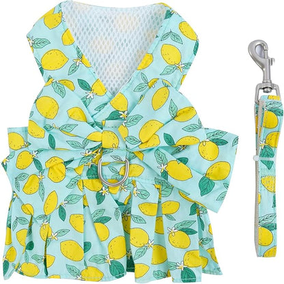 Dora Bridal 2 Pack Dog Dress Harness Vest with Leash, No Pull Cat Small Medium Girl Pet Floral Harness Leash Set, Cute Puppy Fruit Outfit Clothes with Bow, Mesh Princess Costume for Outdoor Walking