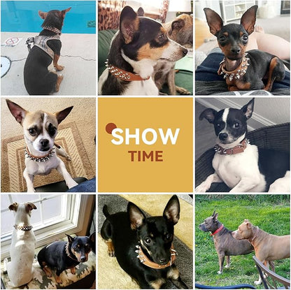 PETCARE Spiked Dog Collar Brown Soft Pu Leather Funny Mushrooms Rivet Spike Studded Puppy Collar Adjustable Outdoor Pet Dog Collar for Small Medium Large Dogs Cats Chihuahua Pug Pit Bull Dog Collars