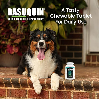Nutramax Dasuquin for Large Dogs, Joint Health Supplement, Contains Glucosamine for Dogs, Plus Chondroitin, ASU and More, Supports Healthy Joints, Chewable Tablets, 84 Count