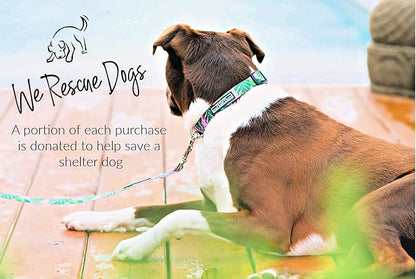 Lucky Love Dog Collars | Girl, boy Dog Collar for Small Medium Large Dogs - Comfortable, Soft, Cute - Laguna, Medium